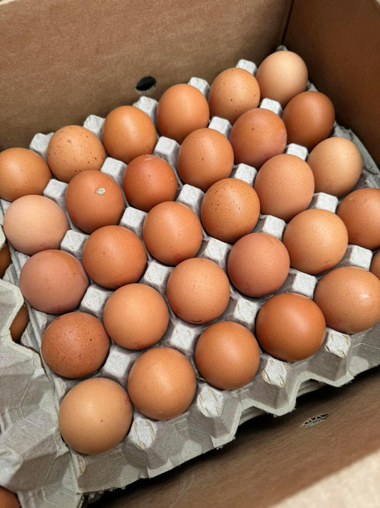 Egg’s 1 tray of 30