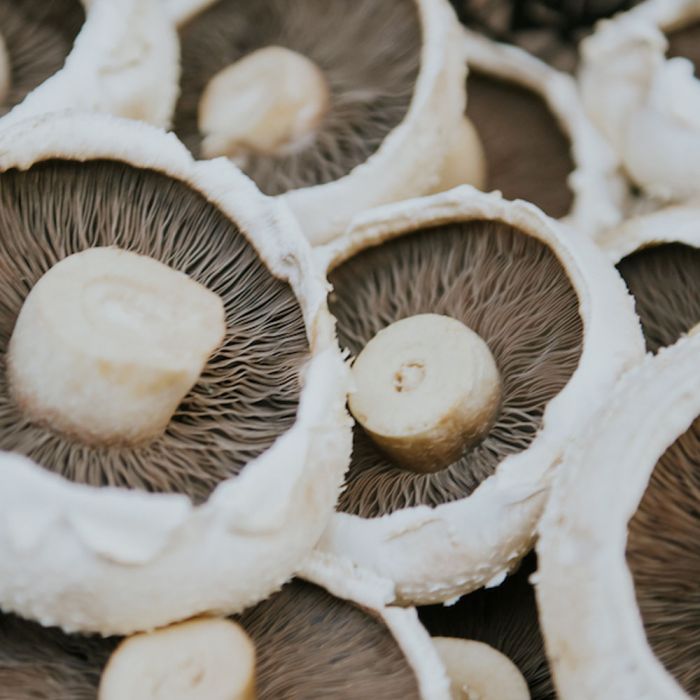 Mush - Open Flat Mushroom (each)