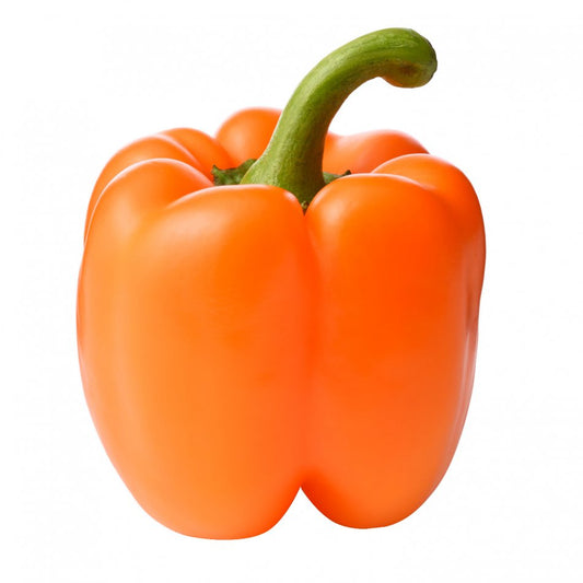 Pepper - Orange Pepper (each)