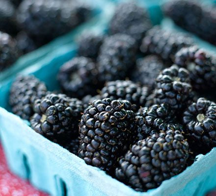 Berry - Blackberries