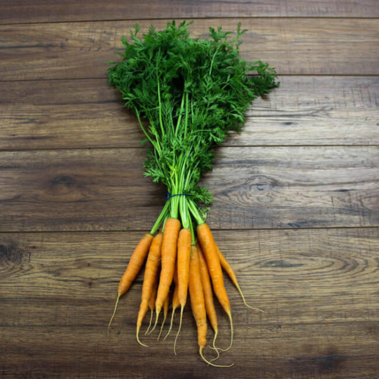 Carrot - Bunched Carrots