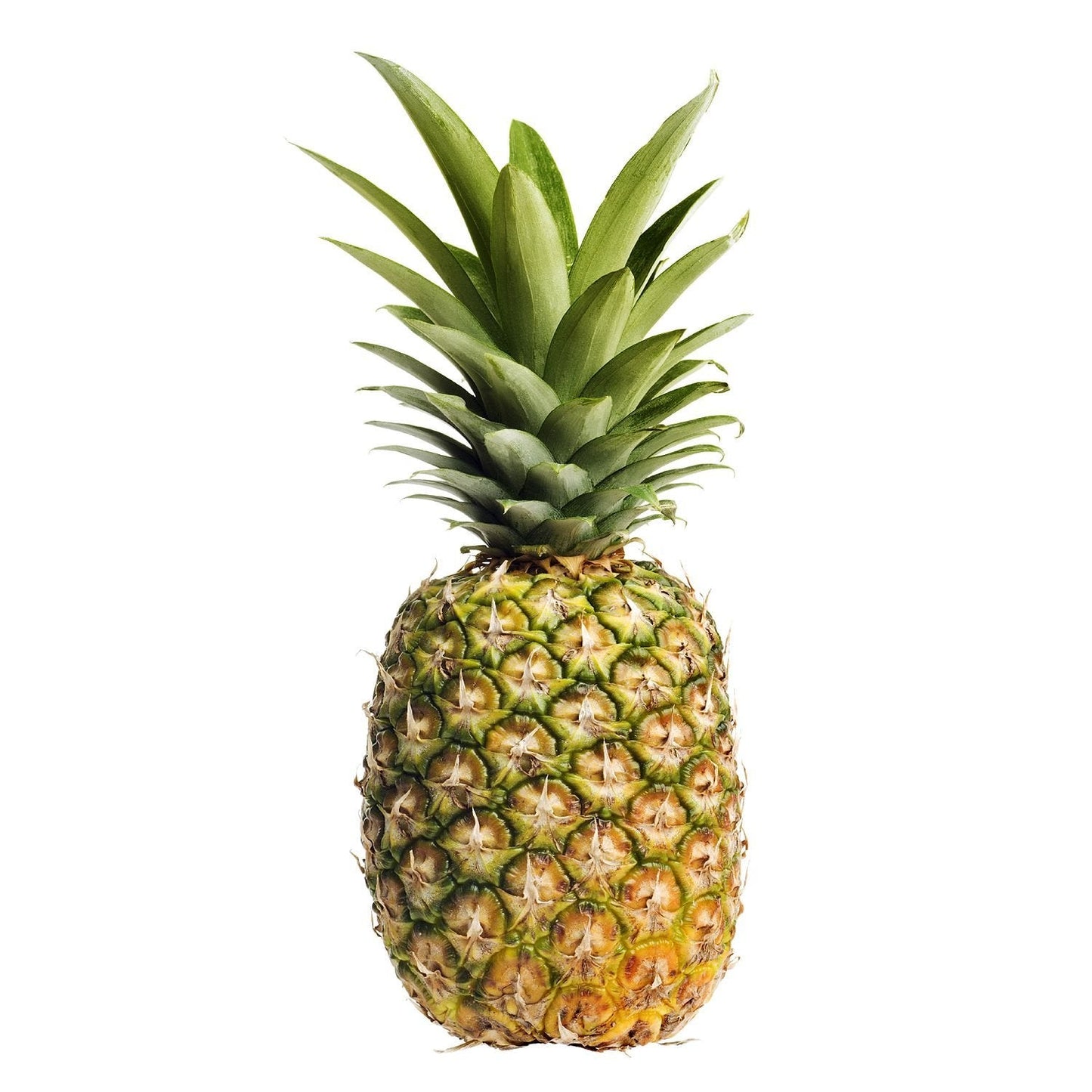 Exotic - Pineapple (each)