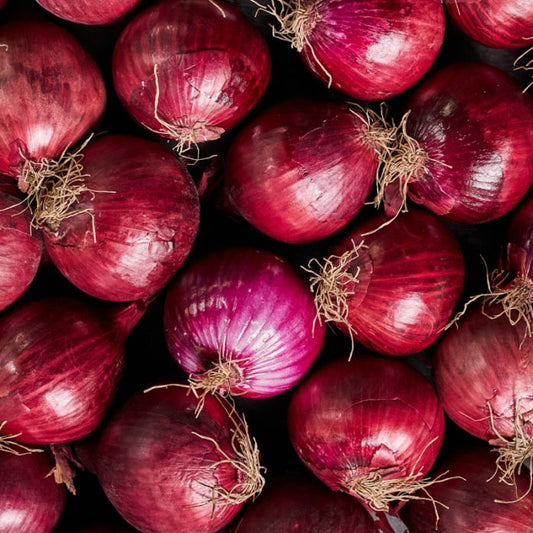 Red Onion (each) LARGE