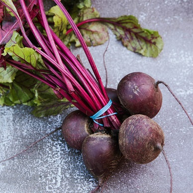 Beetroot - Bunched Beetroot