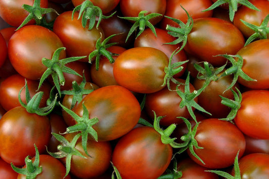 Tomato - Plum Tomatoes (per KG)