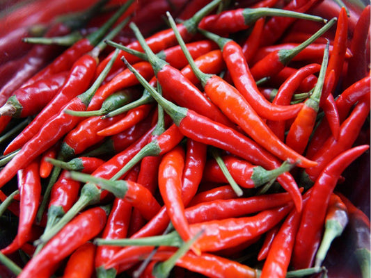 Red Chillies (each)