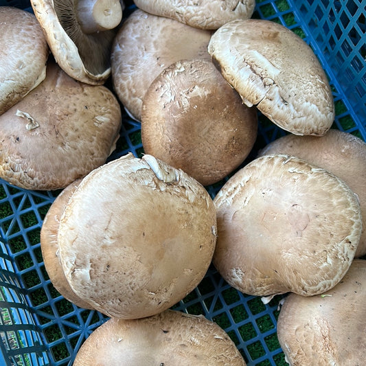 Mush - Portobello Mushrooms 250g