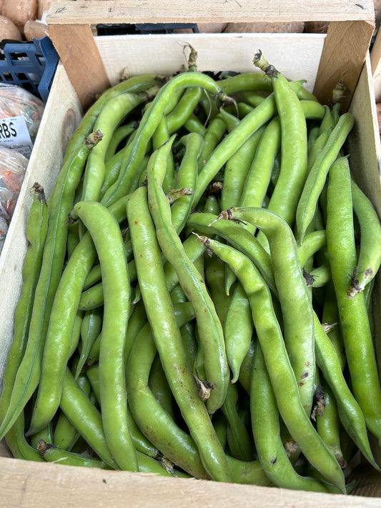 Broad Beans 500g