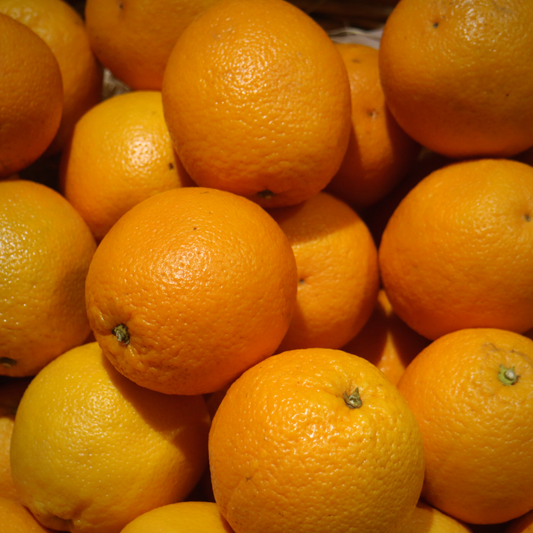 Citrus - Oranges Large (each) Spanish Navel