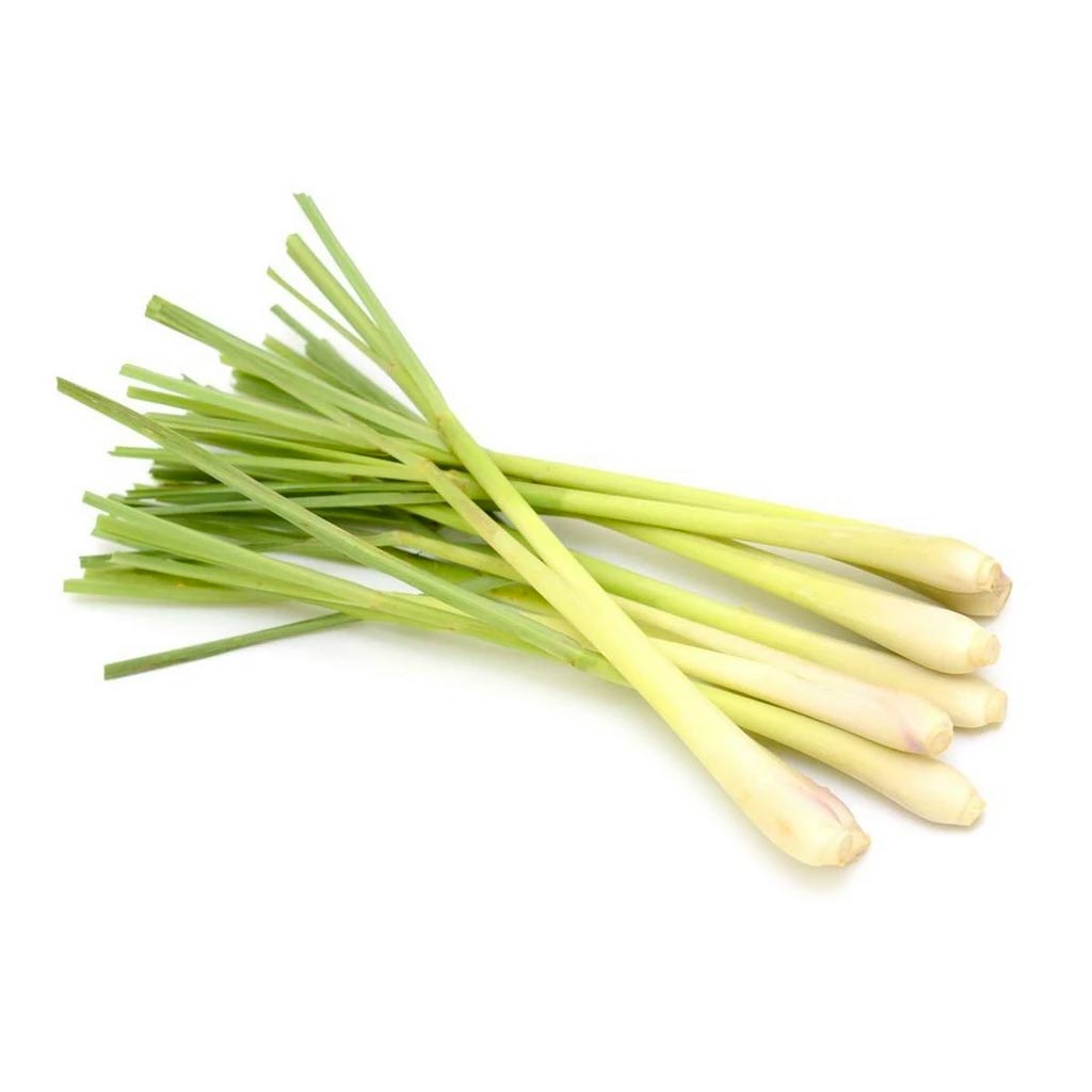 Lemon Grass (1 stick)